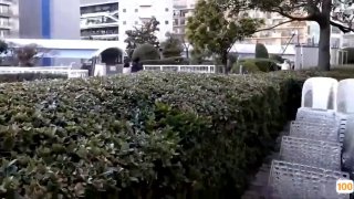 欧美姿面膜官网_欧美亚洲精品成人视频